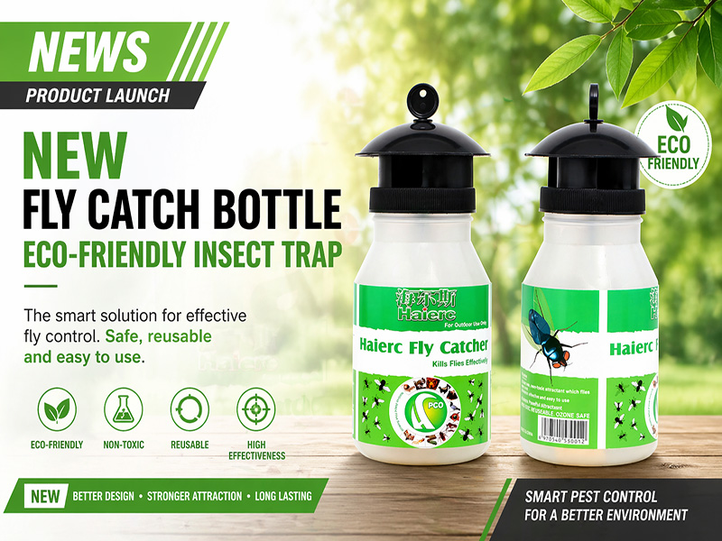 Fly Catch Bottle & Fly Trap Bottle: A Simple and E