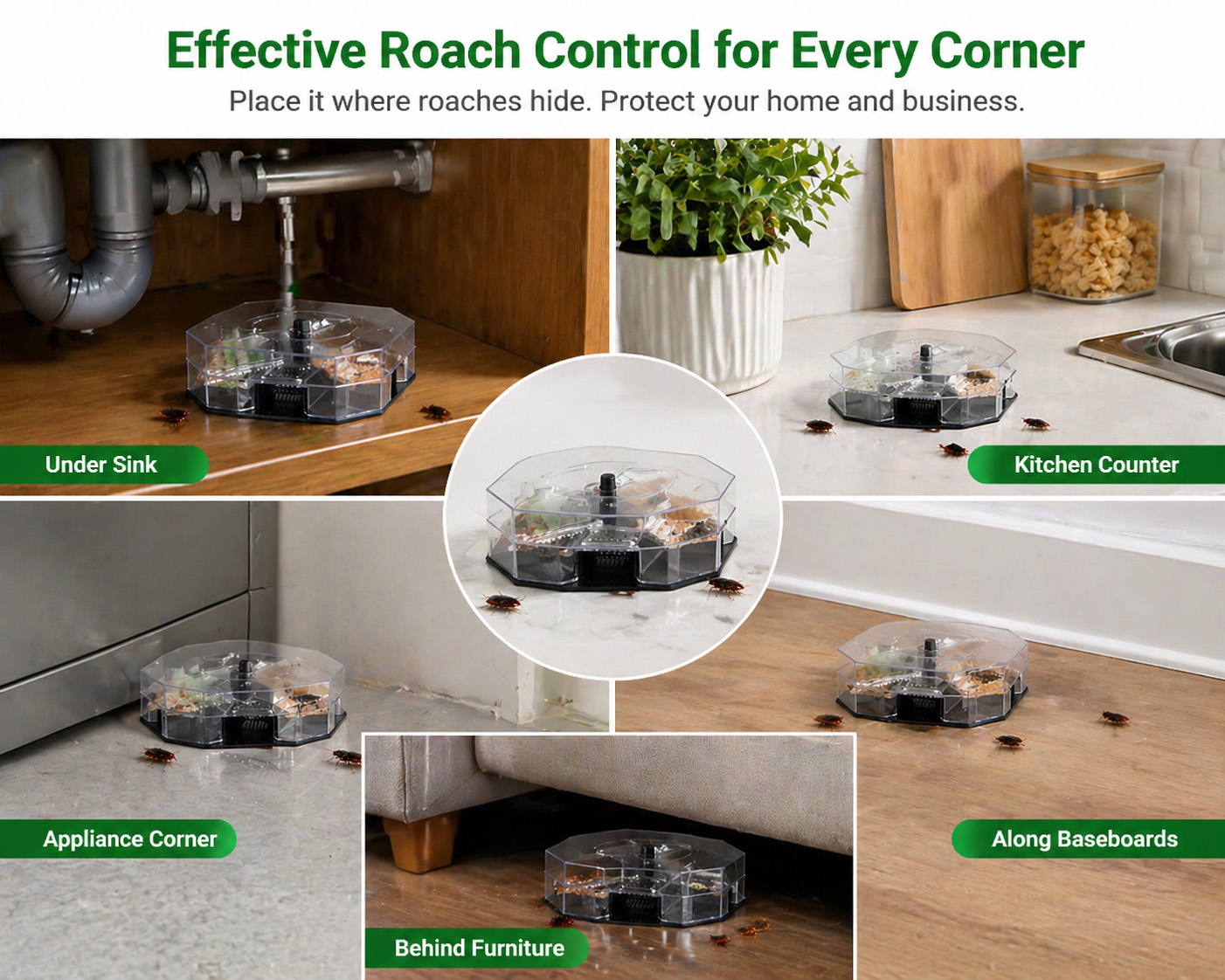 Roach Catcher