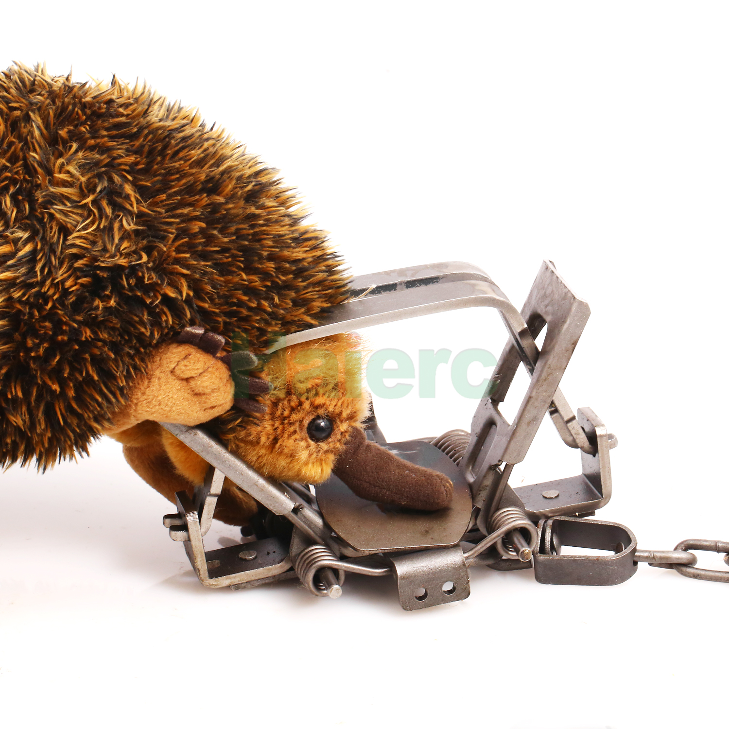 Spring Leg Trap Catch Mole Source Manufacturer 202