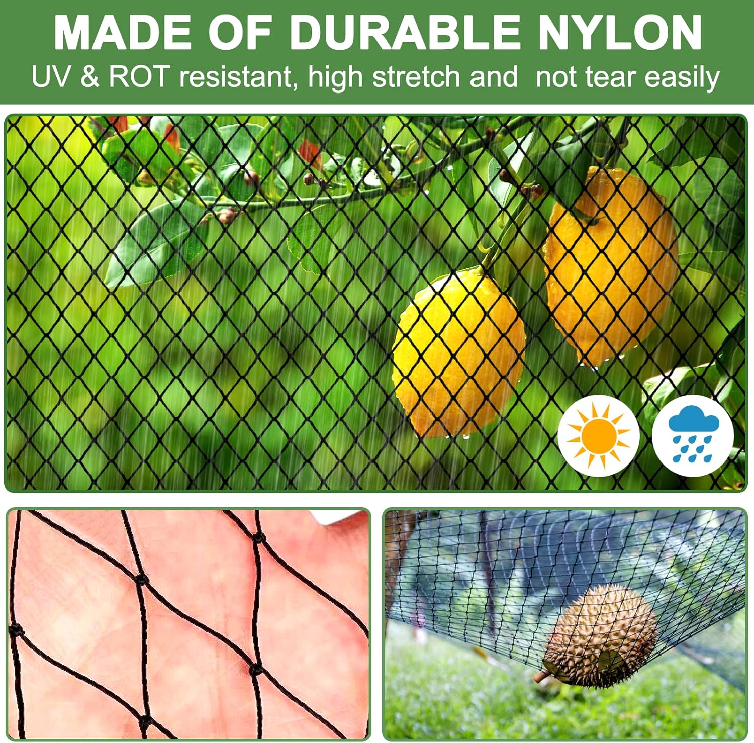 Bird Net