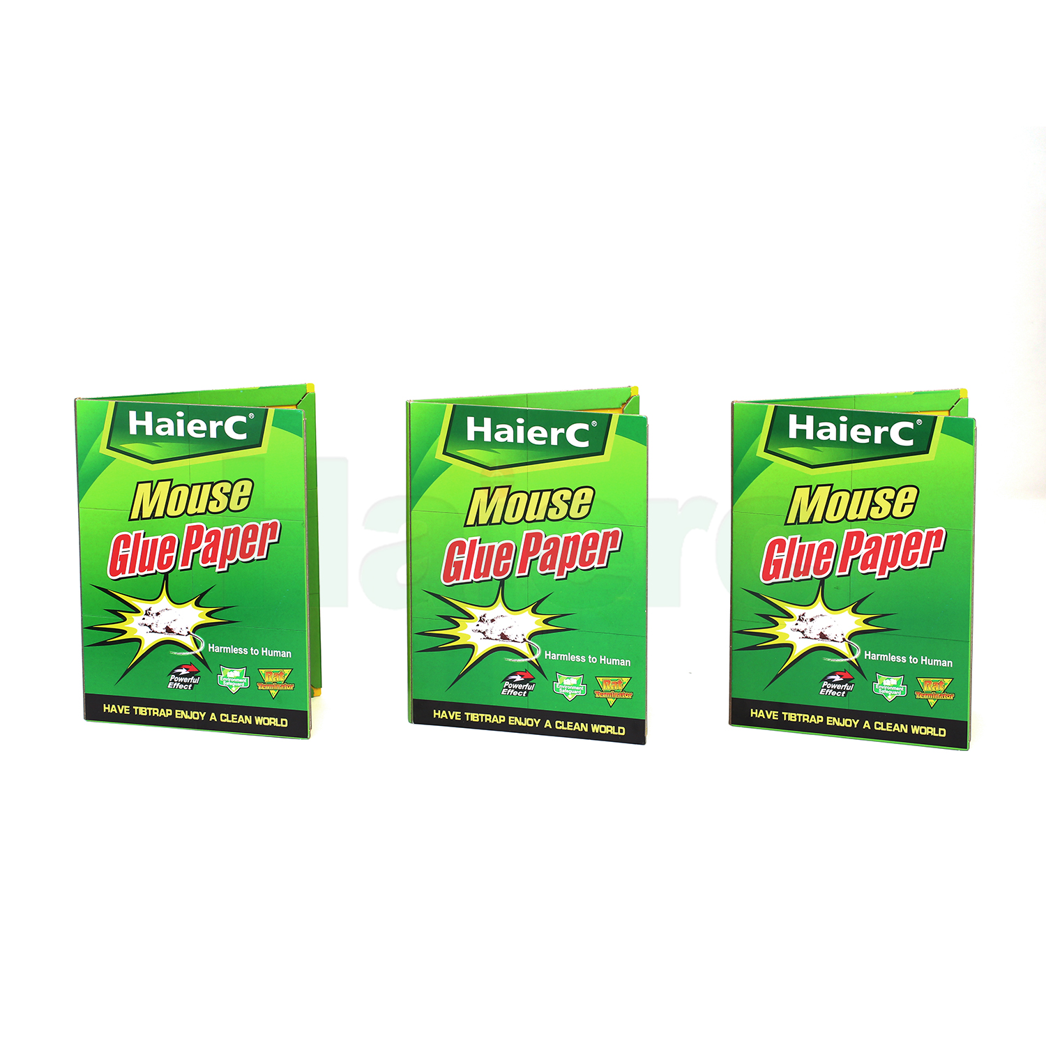 control de roedores mayorista Rodent Control in th