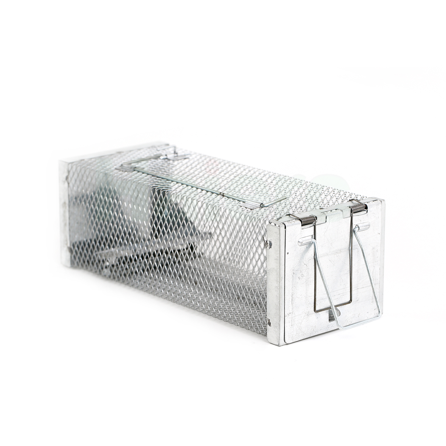 How to Trap Intrusive Wildlife Using a Single Door Wildlife Animal Trap Cage