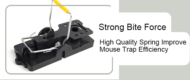 How to Deploy a Rat Snap Trap System in UK Food Fa