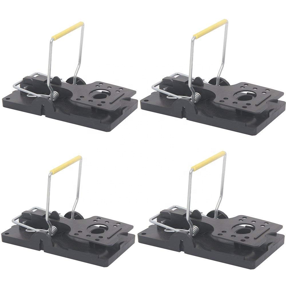 How to Deploy a Rat Snap Trap in UK Commercial Fac
