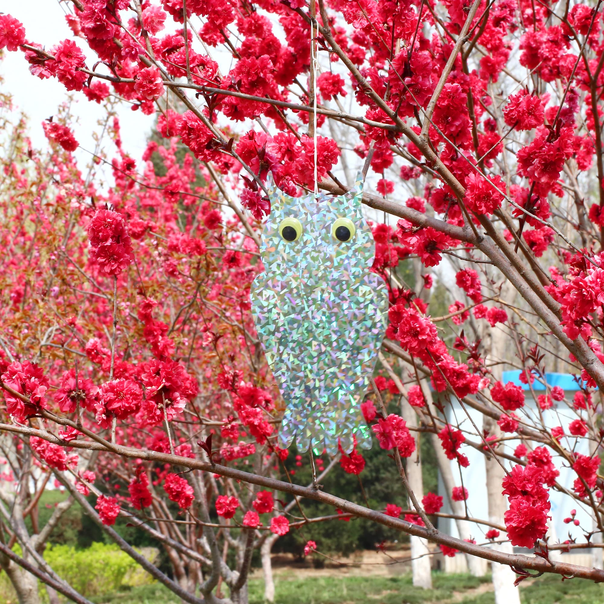 How to Deter Pest Birds from Commercial Rooftops a