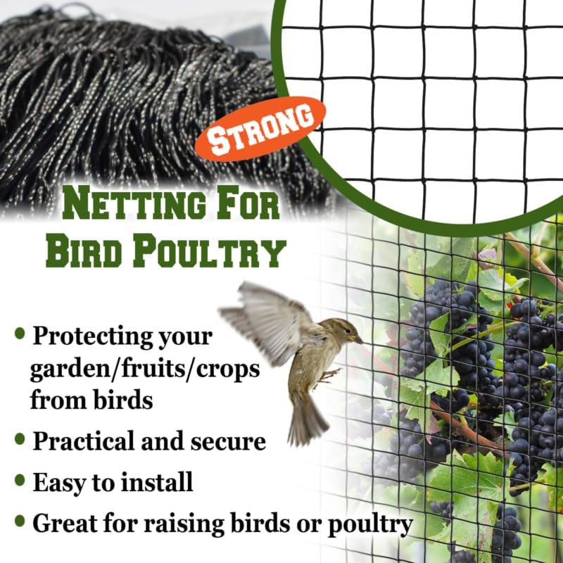 Why Cold Storage Loading Bays Rely on Plastic Bird