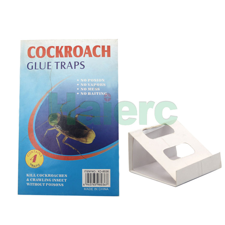Haierc Hot Sell Indoor Roach/C