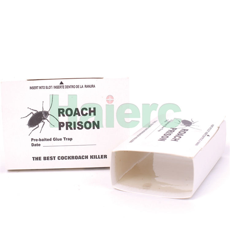 Haierc Eco-Friendly Cockroach 