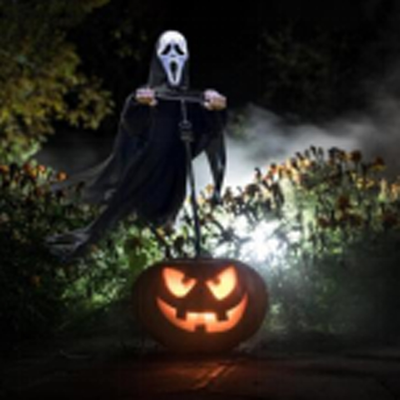 Scarecrow Bird Repellent Outdo